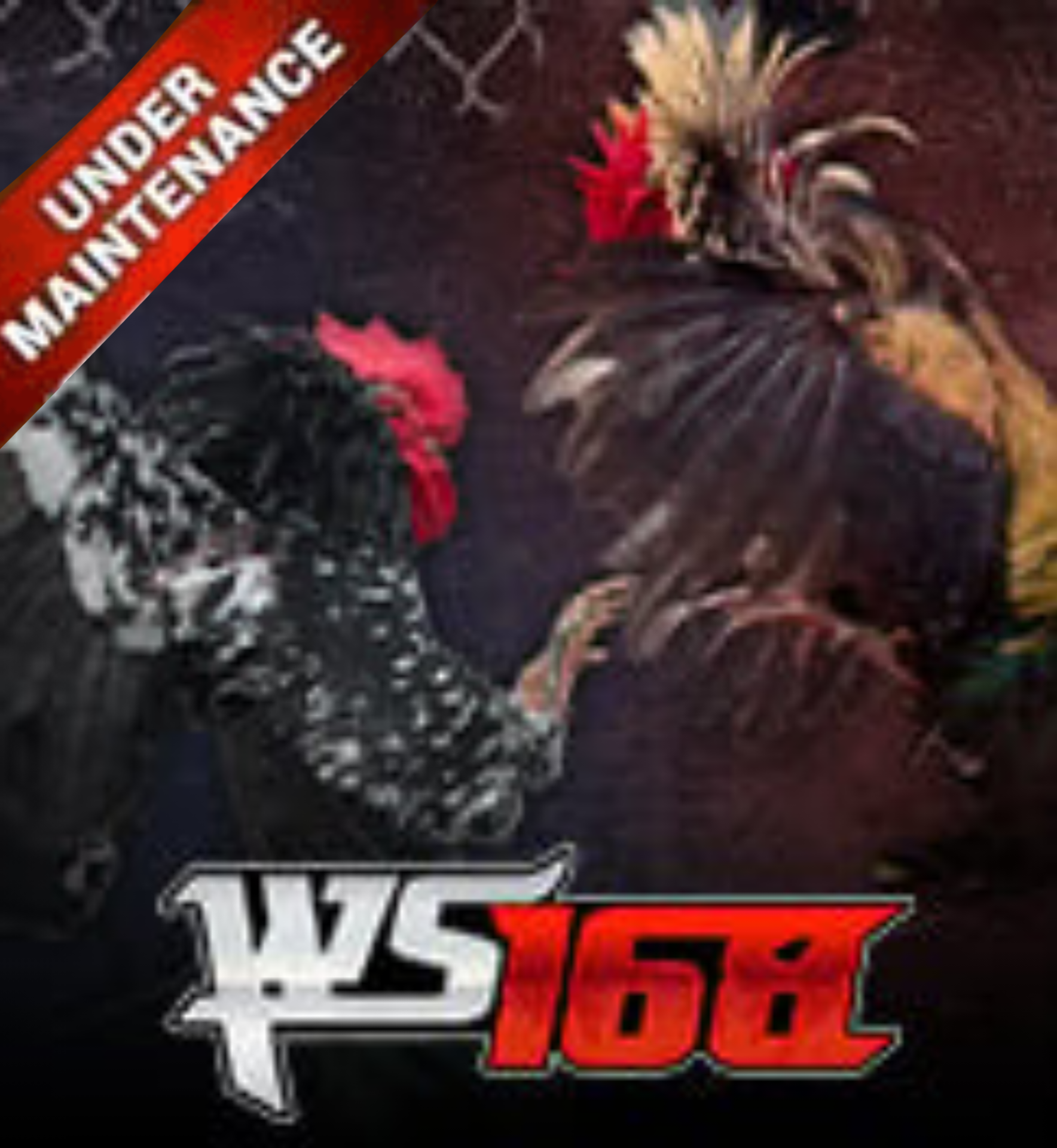 WS168